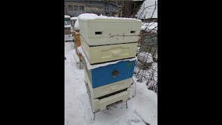 почему пчелы заделывают на зиму все щели в улье, а пчеловод все делает по своему, делая вентиляцию