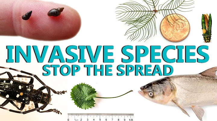 Invasive Species: Stop the Spread