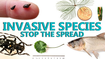 Invasive Species: Stop the Spread
