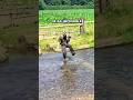 Wet feet and the lessons of life! #river #rurallife #outdoors #countryside #adventure