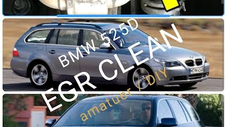 EGR clean BMW 525d E61 E60 2006 screenshot 3