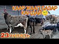 Саан УЙ БААЛАРЫ 23-январь СААН КОП Бугун