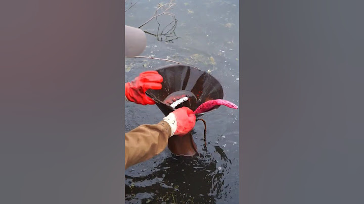 Found Siren Head Underwater While Magnet Fishing