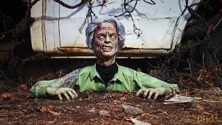 Creepy Crawler - Online Video