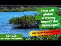 How will global warming impact the Galapagos? By n0co2.org