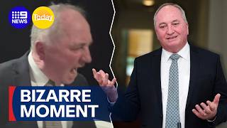 One Nation MP Barnaby Joyce unleashes on dog during live TV interview | 9 News Australia