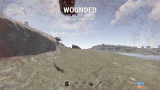 Rust stuttering is the new normal.