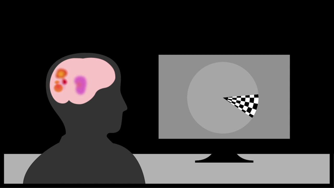 DOT Decoding Animation - YouTube