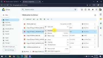 How To Open a Google Drive ZIP File