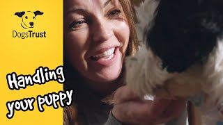 Handling your puppy | Dogs Trust