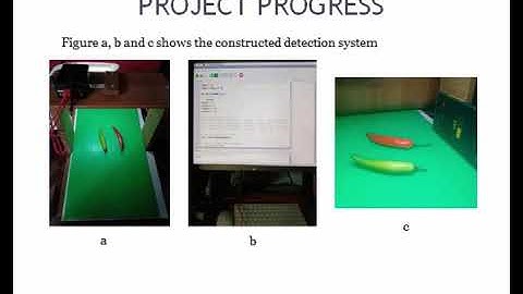Image Recognition For Chili Sorting System by using Raspberry Pi and Camera