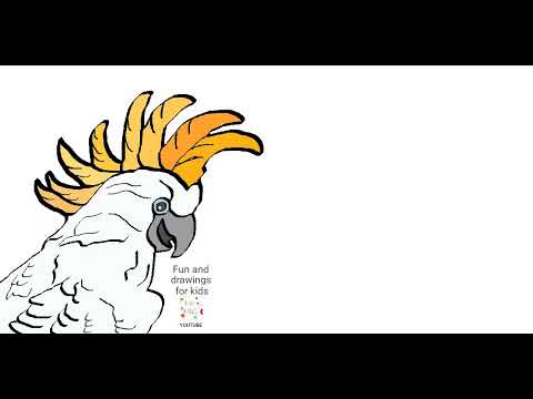 Hur man ritar en kakadua