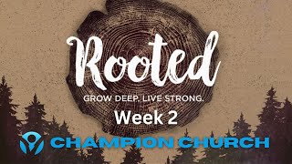 Rooted - Week 2