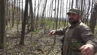 Brandon Snyder Spring Turkey Hunt by Michael Pollack 160 views 1 year ago 21 minutes