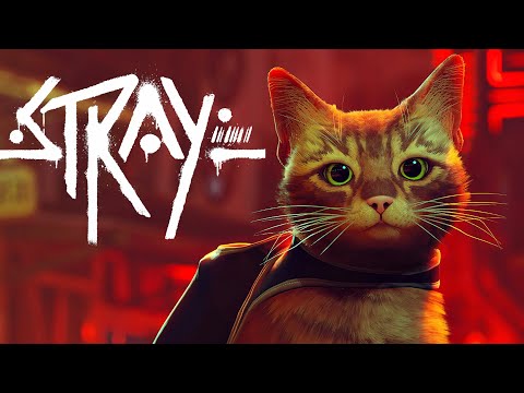 Stray: A Cute Cat Adventure, in Cyberpunk Hell