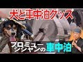 【犬と車中泊グッズ】何かと便利なリードアイデア・字幕解説付き～プロミュージシャンの車中泊