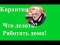 РАБОТА В КАРАНТИНЕ / Упаковка и продажа саженцев / Игорь Билевич