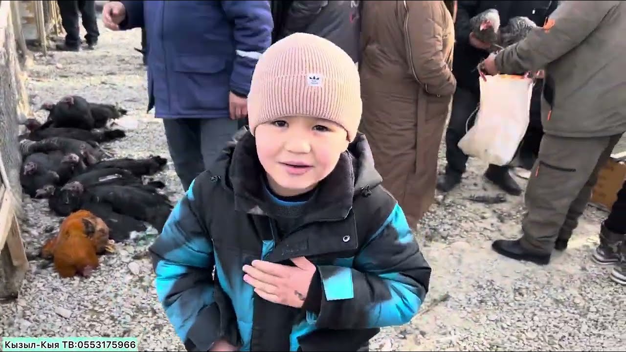 Сиз Издеген Тоок базар БУГУН КЫЗЫЛ-КЫЯ ДА !!!! 11-Январь 