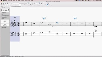 Parallel Fifths and Octaves (Part 1)