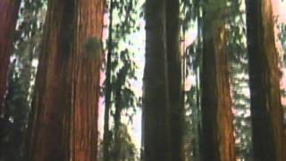 Listening To Plants - Mr. Wizard's New Frontiers