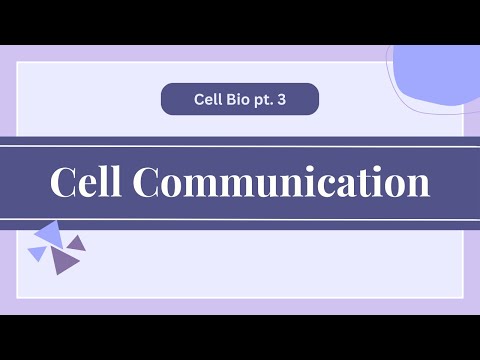 Cell Biology pt.
