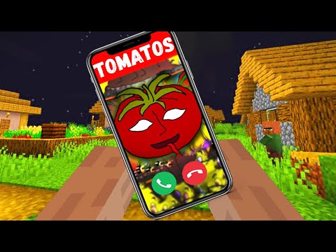 Playing MR TOMATOS