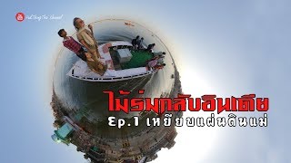 ไม้ร่มกลับอินเดีย Ep.1 เหยียบแผ่นดินแม่