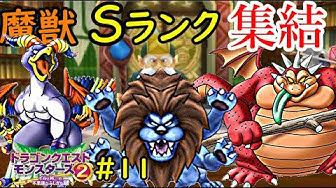 イルルカ Youtube