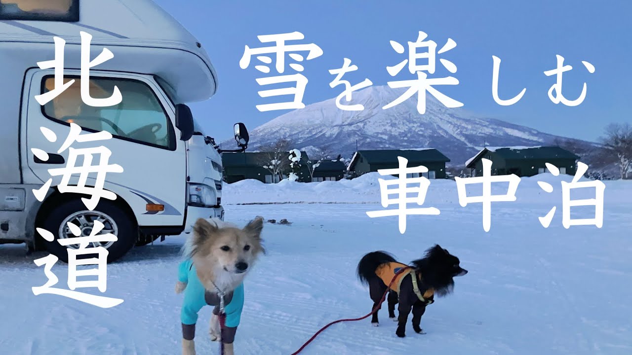 【女一人、犬とキャンピングカー旅】冬こそキャンピングカー旅を！ニセコでスノーシューを楽む冬の車中泊〜年末年始道南車中泊旅 ①