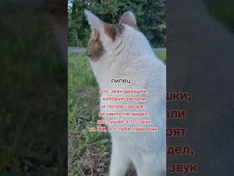 17 июня 2024