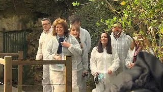 Spains Altamira Cave Paintings Gradually Reopen To Public After 12 Years