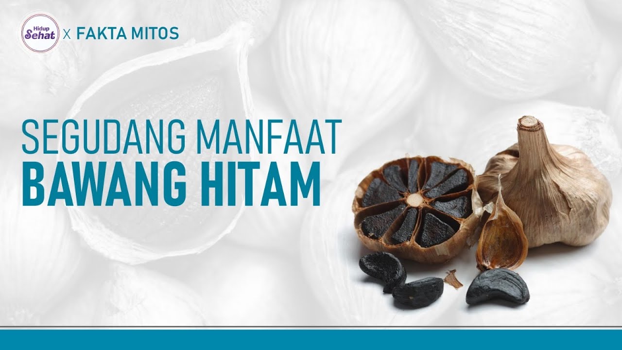 Manfaat Black Garlic (Bawang hitam) yang Luar Biasa untuk Kesehatan I Hidup Sehat tvOne