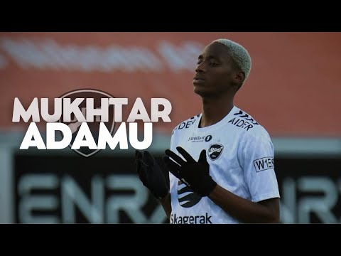 Mukhtar Mustapha Adamu Skills Tackles Highlights 2025ᴴᴰ 