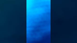 Pleasure Official Erexi.a