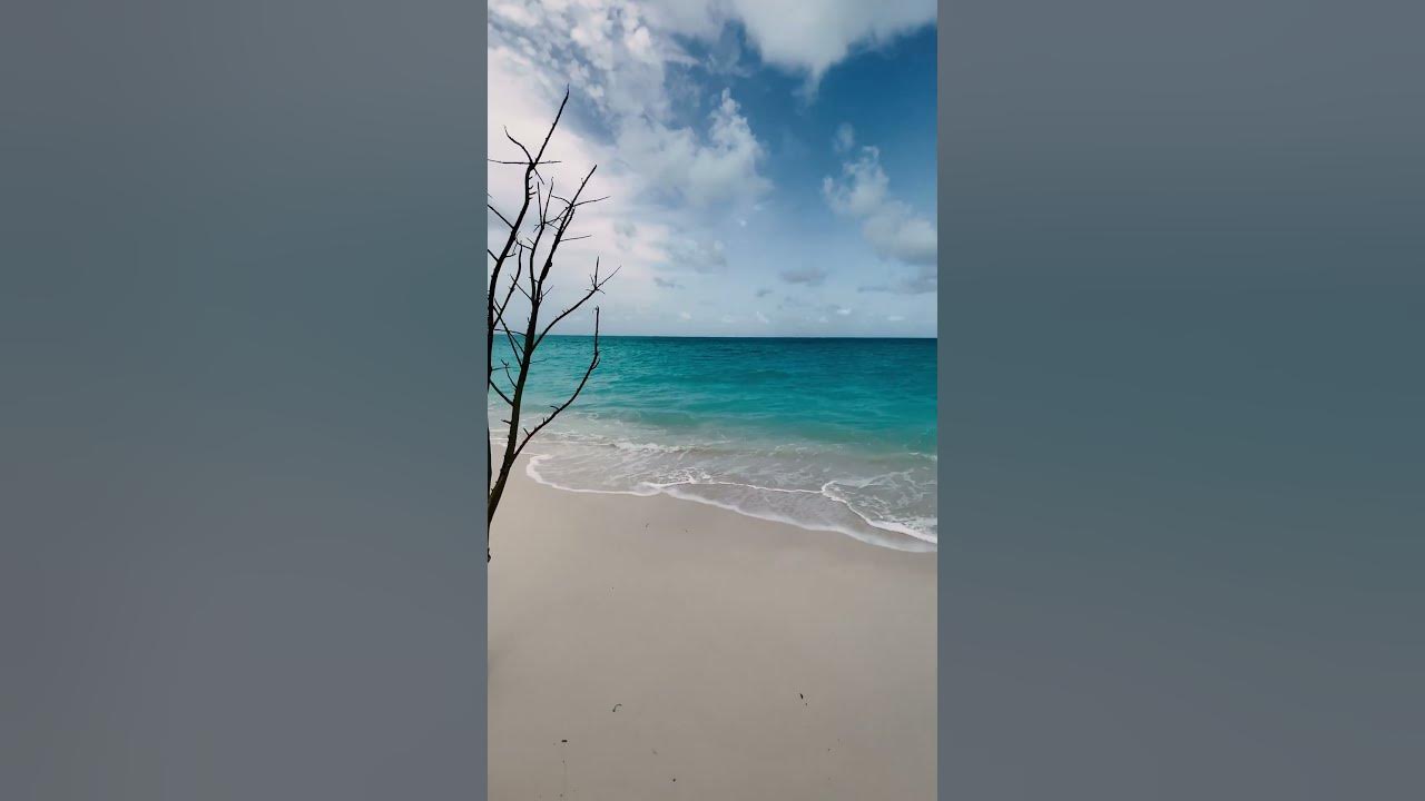 Sea Shells Beach Resort Stay In Agatti Island Lakshadweep YouTube