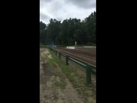 Banshee Wheelies Whole