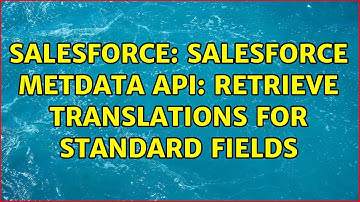 Salesforce: Salesforce Metdata API: Retrieve translations for standard fields