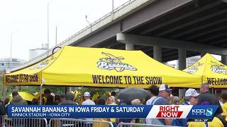 Kinnick Stadium, Iowa City prepare for Savannah Bananas games