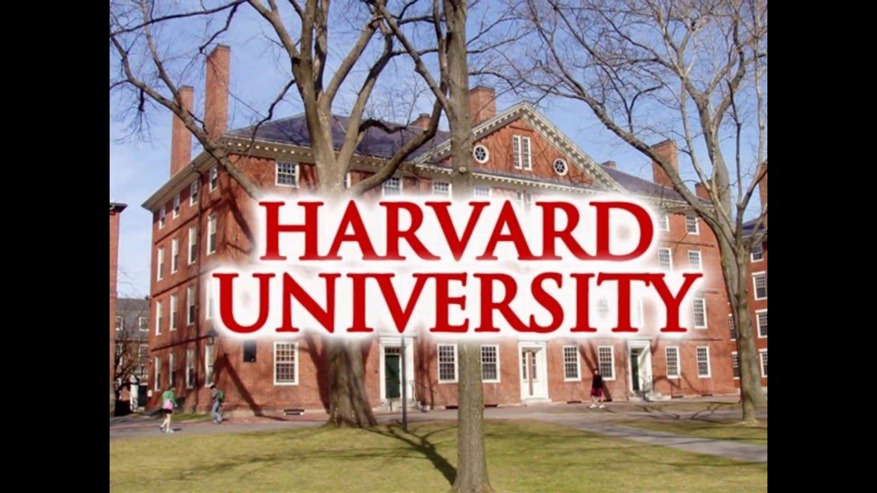 law-school-admissions-calculator-most-accurate-law-school-predictor