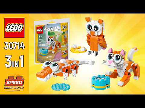 mi★ Orange Cat 30714 | Creator 3-in-1 | Buy online at the Official