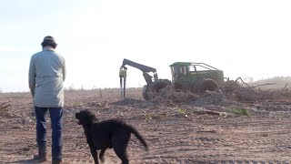 Pierce Timber Company | John Deere Forestry