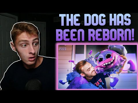 REUNITED! PJ Pug-A-Pillar