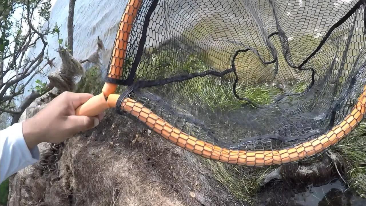 How To Catch And Rig Fiddler Crabs For Catching Redfish, Black Drum