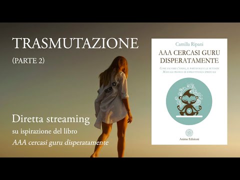 Trasmutazione – Fallimenti, momento presente e contatto