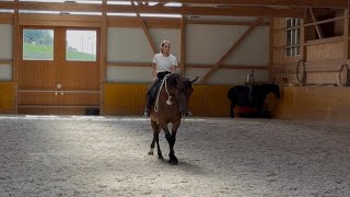 Chloé and Bergamote - Level 4 Finesse - Parelli audition