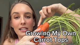 Growing Carrot Tops at Home by The Lexi Bunch 81 views 1 month ago 1 minute, 17 seconds