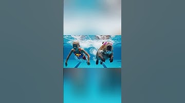 Capybara. Mai đã giúp Capy có kính bơi thi với Hùng trọc #capybara