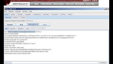 Insecure Access Control