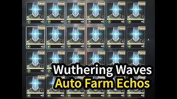 [Wuthering Waves 2.0 WuWa] Auto Farm Echo tutorial with ok-ww