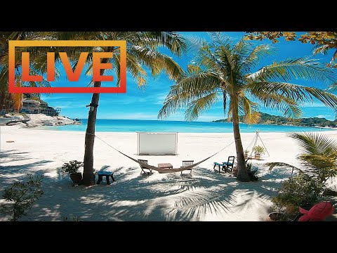 🔴 Beach Live Stream · Thailand / Koh Phangan / House of Sanskara on Haad Rin (Full Moon Party) beach